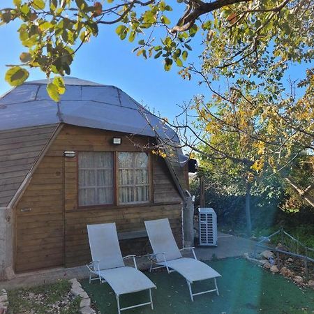 בקתת עץ בחורש במנות - דום גיאודזי - Wooden Cabin In Manot ภายนอก รูปภาพ