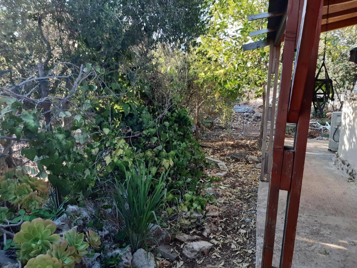 בקתת עץ בחורש במנות - דום גיאודזי - Wooden Cabin In Manot ภายนอก รูปภาพ