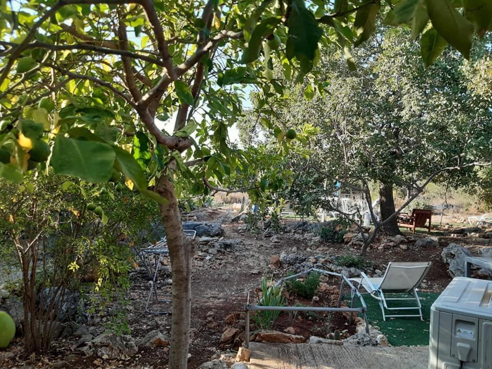 בקתת עץ בחורש במנות - דום גיאודזי - Wooden Cabin In Manot ภายนอก รูปภาพ