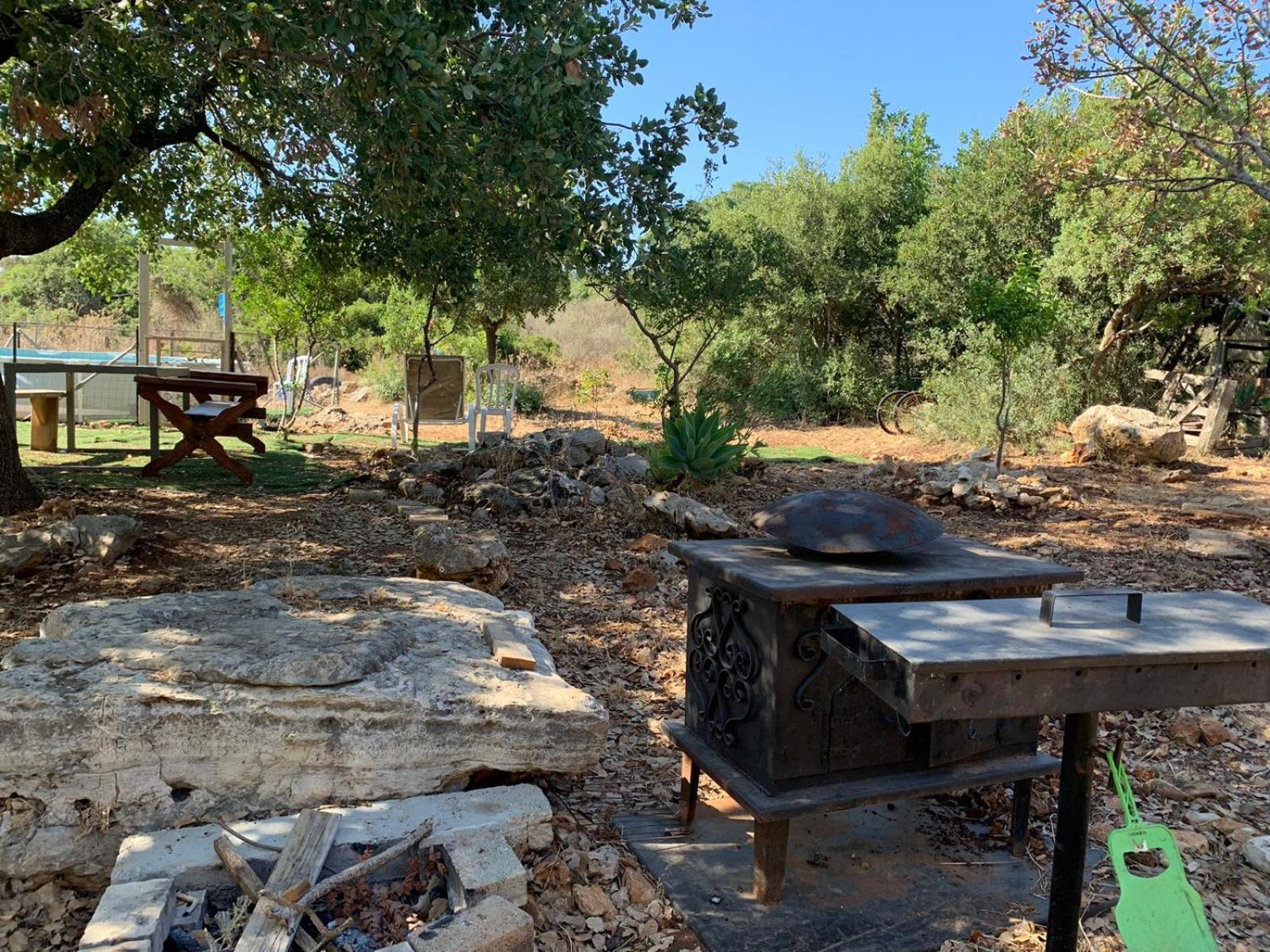 בקתת עץ בחורש במנות - דום גיאודזי - Wooden Cabin In Manot ภายนอก รูปภาพ