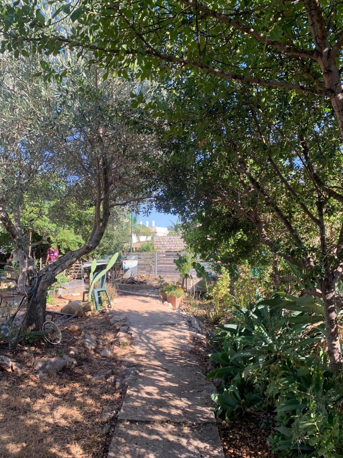 בקתת עץ בחורש במנות - דום גיאודזי - Wooden Cabin In Manot ภายนอก รูปภาพ